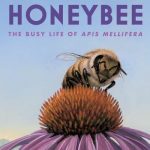 Honeybee: The Busy Life of Apis Mellifera