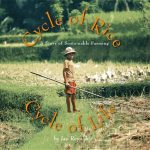 Cycle of Rice, Cycle of Life: A Story of Sustainable Farming